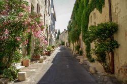 Una pittoresca veduta del centro storico di Villeneuve-les-Avignon (Francia) con fiori e piante. 

