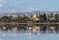 Una pittoresca veduta di Larnaka, isola di Cipro: la moschea del sultano Hala Tekke con le pale eoliche sullo sfondo e, in primo piano, i fenicotteri sul lago salato.

