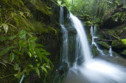 Una pitttoresca cascata a Greenbrier, Great Smoky Mountains National Park, Tennessee e Carolina del Nord (USA).
