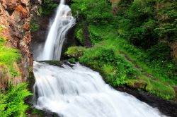 Una potente cascata nel territorio di Cavalese in Trentino, Valle di Fiemme