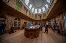 Una sala del Museo di Storia Naturale di Haarlem, Olanda - © Joost Adriaanse / Shutterstock.com