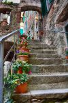 Una scalinata nel centro storico di Corniglia, La Spezia, Liguria. La cittadina viene considerata il balcone delle Cinque Terre.
