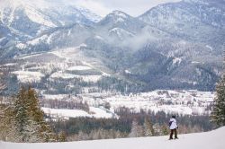 Una sciatrice solitaria nel comprensorio sciistico di Fernie, British Columbia, Canada - © Timothy Yue / Shutterstock.com