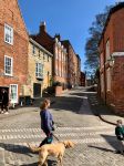 Una signora porta a passeggio il cane nel centro di Lincoln, Inghilterra - © Imran's Photography / Shutterstock.com