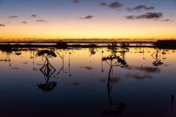 Una spettacolare alba a Bimini, Bahamas. L'oceano che circonda questi territori è considerato uno dei luoghi di pesca più ambiti al mondo.
