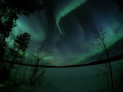 Una spettacolare immagine dell'aurora boreale a Kuusamo, Lapponia, Finlandia. Questo fenomeno ottico dell'atmosfera terrestre regala un inedito spettacolo della natura con tonalità ...