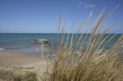 Una spiagga sulla costa del Molise nei pressi di Campomarino