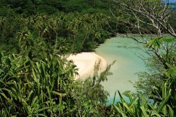 Una spiaggetta appartata sull'isola di Huahine, sud del Pacifico (Polinesia Francese).


