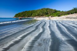 Una spiaggia a Koh Chang Island, provincia di Ranong, Thailandia, all'alba. Le increspature della sabbia arrivano sino alla foresta tropicale sullo sfondo.

