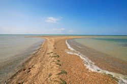 Una spiaggia con la bassa marea sulle isola Kerkennah in Tunisia