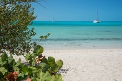 Una spiaggia deserta a Long Island alle Bahamas, la grande barriera corallina dell'Oceano Atlantico