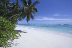 Una spiaggia di fine sabbia bianca sull'isola di Silhouette, Seychelles (Africa) - © fdimeo / Shutterstock.com