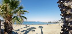 Una spiaggia di sabbia con palme a Cavalaire-sur-Mer, Francia.
