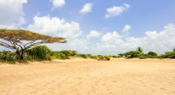 Una spiaggia di sabbia fine sull'isola di Manda, Kenya (Africa).

