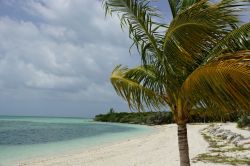 Una spiaggia di Berry Islands sulle Isole Bahamas