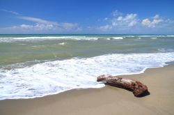 Una spiaggia libera e selvaggia a Marina di Massa in Toscana