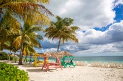 Una spiaggia tropicale con palme, sdraio e tavoli da pic-nic a Nassau, New Providence, Bahamas.

