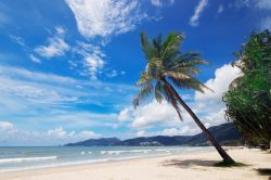 Una spiaggia tropicale della Thailandia: siamo a Patong Beach
