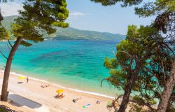 Una spiaggia tropicale sulla penisola di Peljesac: siamo a Orebic, cittadina balneare che offre agli amanti del mare scorci mozzafiato con baie e litorali affacciati su un mare limpido e cristallino. ...