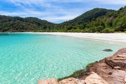 Una spiaggia tropicale sull'isola di Palau Redang, Terengganu, Malesia. I fondali del mare sono popolati da una miriade di pesci: snorkeling e immersioni subacquee sono le attività ...