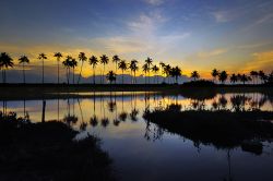 Una splendida alba su una spiaggia tropicale di Terengganu, Malesia. La principale attrazione di questo territorio malese sono sicuramente le sue lunghe spiagge: qui si trova infatti il più ...