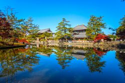 Una splendida veduta autunnale del Todai-ji Temple di Nara, Giappone. Il tempio è stato dichiarato patrimonio dell'umanità dall'Unesco. 
