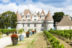 Una splendida veduta del castello di Monbazillac con i vigneti, Bergerac, Francia: questa dimora rinascimentale del XVI° secolo ospita mobili d'epoca e una cantina in cui è possibile ...