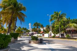 Una strada con palme nel centro dell'Isla Mujeres, Messico.

