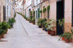 Una stradina impreziosita da piante nel centro di Alcudia, un borgo sull'isola di Maiorca, Spagna.