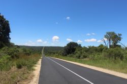 Una strada deserta nei pressi del Parco Nazionale Zombitse-Vohibasia, Madagascar. Quest'area naturale è raggiungibile attraverso la Route Nationale 7 che collega Antananarivo a Toliara.
 ...