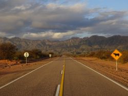 Una strada desertica nella provincia di San Juan, Argentina. L'omonima cittadina è situata nella Valle di Tulum.



