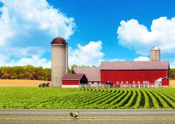 Una strada di campagna americana nello stato dello Iowa. Noto per il suo paesaggio caratterizzato da dolci colline e campi di mais, questo territorio si trova fra i fiumi Missouri e Mississipi.



 ...