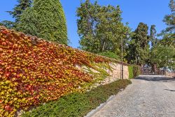 Una strada di Guarene in una magnifica giornata autunnale in Piemonte