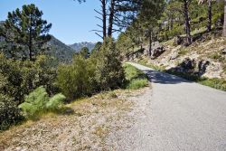 Una strada di montagna sulle Alpi della Corsica, non lontano da Vivario