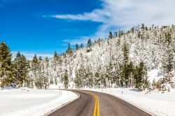 Una strada nel paesaggio invernale delle Black Hills in South Dakota (USA)