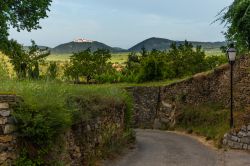 Una strada nella valle di Wachau a Krems an der Donau, Austria. Siamo in una delle principali mete turistiche della Bassa Austria.
