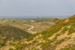 Una strada tortuosa fra la vegetazione a Carrapateira, Algarve, Portogallo.
