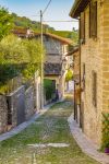 Una stradina acciottolata nel centro del borgo medievale di Cusercoli, Emilia Romagna. Siamo in provincia di Forlì-Cesena nella valle del fiume Bidente. La cittadina sorge su uno sperone ...