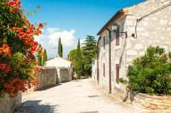 Una stradina della città medievale di Vrsar, Croazia. Meta di turismo internazionale, Orsera - questo il nome italiano della località croata - è famosa per le spiagge e ...