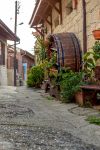 Una stretta viuzza medievale nel borgo di Omodos, isola di Cipro. A impreziosirla ci sono case in pietra con piante e fiori.

