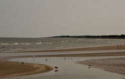 Una suggestiva immagine della costa sabbiosa di Saeby, Danimarca. Qui le acque sono più calme e tranquille rispetto a quelle della costa ovest e distese di fango si estendono grazie alle ...
