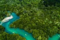 Una suggestiva veduta aerea della foresta di mangrovia di Koh Payam, Ranong, Thailandia, con canoe.



