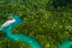 Una suggestiva veduta aerea della foresta di mangrovia di Koh Payam, Ranong, Thailandia, con canoe.



