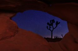 Una suggestiva veduta by night del cielo al Joshua Tree National Park, California - © tobkatrina / Shutterstock.com