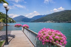 Una suggestiva veduta del lago Ceresio (o di Lugano) dal villaggio di Morcote, Svizzera. Questo bacino d'acqua prealpino è ramificato lungo il confine italo-svizzero.
