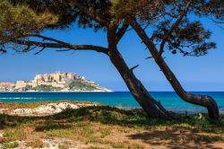 Una suggestiva veduta della cittadella di Calvi (Corsica) a picco sul mare. Vero cuore della città corsa, la cittadella è un grazioso insieme di stradine, antiche case e palazzi ...