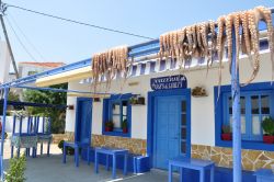 Una taverna greca a Lipsi, piccola isola nel Mar Egeo, Dodecaneso: polpi stesi al sole per essiccare  - © Bulent Demir / Shutterstock.com
