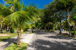 Una tipica strada caraibica con palme a Playa del Carmen, penisola dello Yucatan (Messico).



