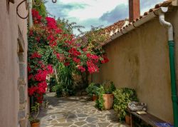 Una tipica stradina del borgo medievale di Ramatuelle, Costa Azzurra (Francia), con colorate bouganville in fiore.
