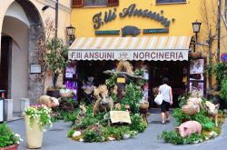 Una tradizionale norcineria, negozio di Norcia per la vendita di carne, salsiccia, formaggio e altri prodotti alimentari dell'area (Perugia, Umbria)  - © maudanros / Shutterstock.com ...
